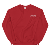 ON FIRE (embroidered, 2 colors)